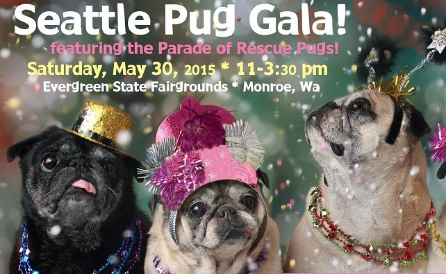 20th pug gala