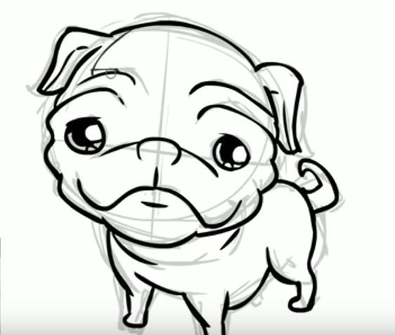 Pug Drawing