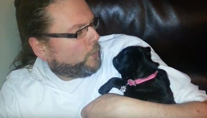 Pug puppy and dad kiss