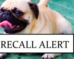RECALL ALERT: Well-Known Dog Brand Recalled Some of Their Food. Now Discover Why This Could Be a Danger to Your Dog.