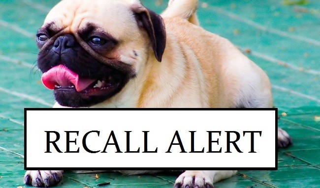 Pug recall alert