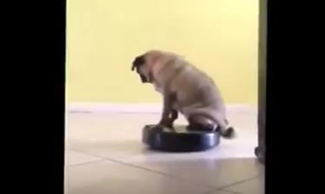 Riding Dirty On a Roomba