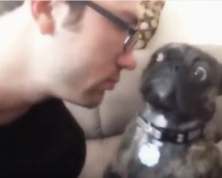 (VIDEO) This Dad Tries to Give His Pug a Kiss. When He Politely Refuses? Too Funny!