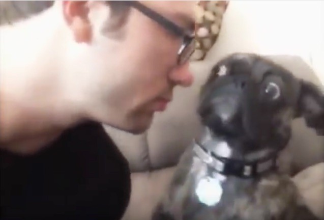 pug kiss