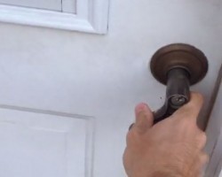 (VIDEO) Dad Arrives Home From Work. When You See How NOT Excited This Dog Is to See Dad? SO Hilarious!