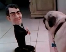 (Video) This Pug Clearly Isn’t Friends With Dean Martin. Listen to the Argument They Get Into!