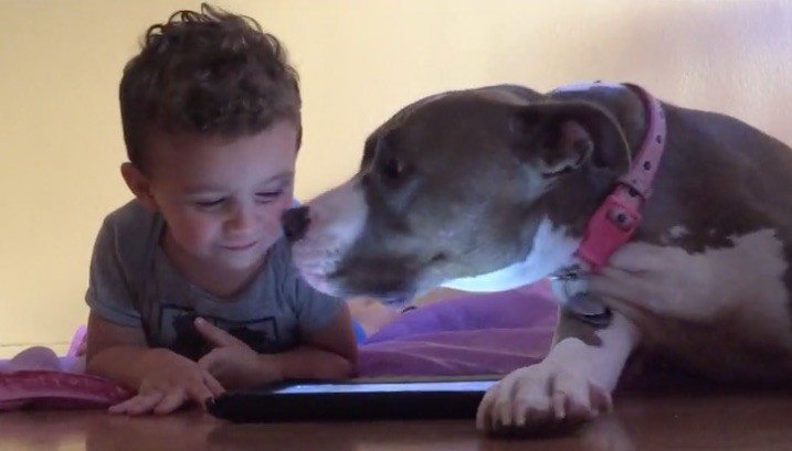 dog, baby, and iPad