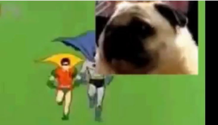 Pug with Batman and Robin