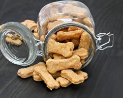 4 Doggie Treat Recipes to Make for Fido for Thanksgiving