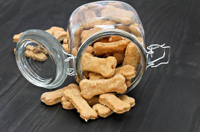 dog treats