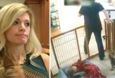 (Video) Her Dogs Were Acting Weird So She Installed a Camera to See What Was Really Going On With the Dog Walker