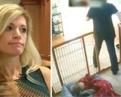 (Video) Her Dogs Were Acting Weird So She Installed a Camera to See What Was Really Going On With the Dog Walker