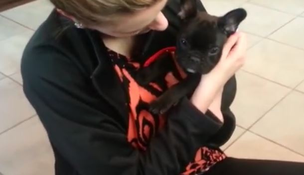 Frenchie Puppy and New Mom