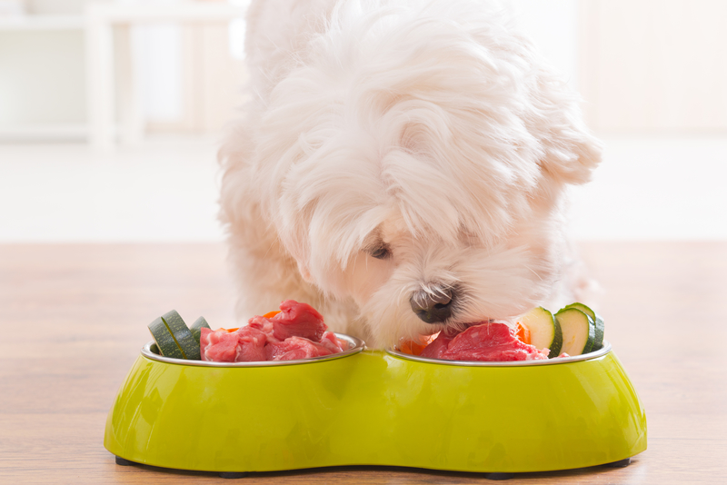dog eating vegetables and food