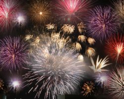 Dogs and Fireworks: Why it’s a Bad Combination