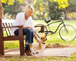 How Dogs Show Affection to Their Humans is Not What Many Would Expect
