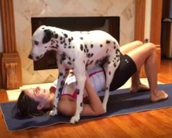 (Video) Doggy Wants to be a Part of Mom’s Yoga Routine So Badly He Does THIS