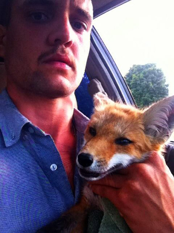 dying fox rescue