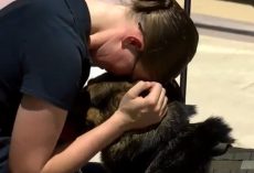 (Video) After Serving for 6 Years, Military Dog Finally Reunites With Handler – For Good