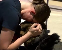 (Video) After Serving for 6 Years, Military Dog Finally Reunites With Handler – For Good