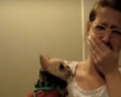 (Video) Girl Tells Her Dog She Loves Her. What the Dog Does Next Leaves Her Stunned