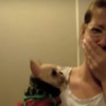 (Video) Girl Tells Her Dog She Loves Her. What the Dog Does Next Leaves Her Stunned