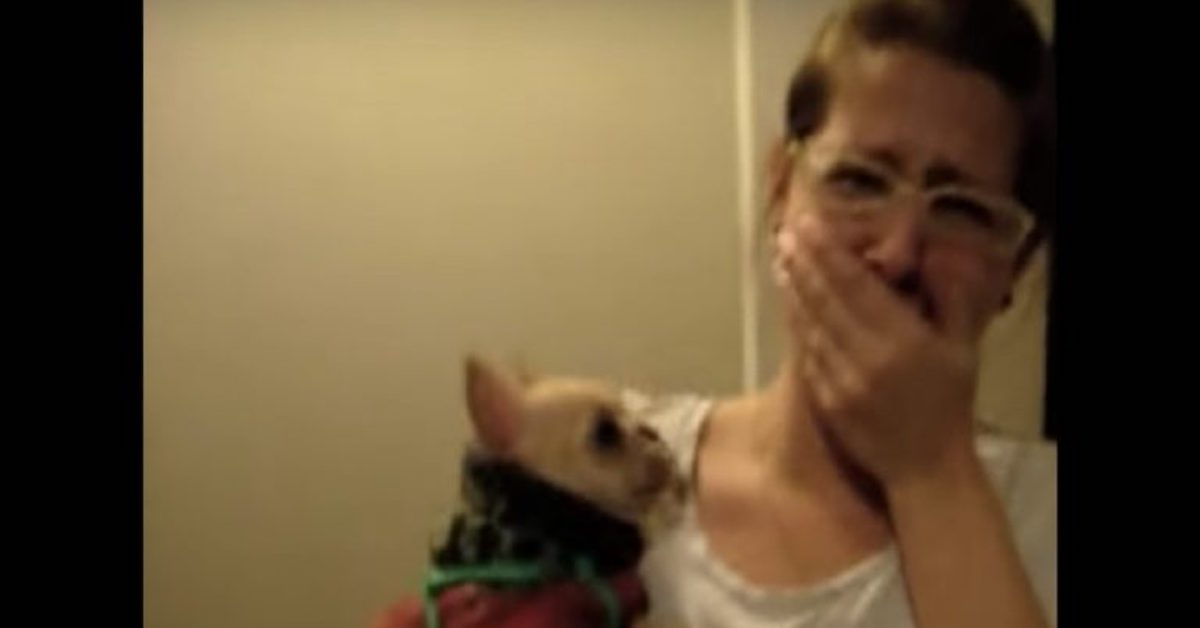 girl-tells-dog-she-loves-her-what-dog-does-next-leaves-her-stunned